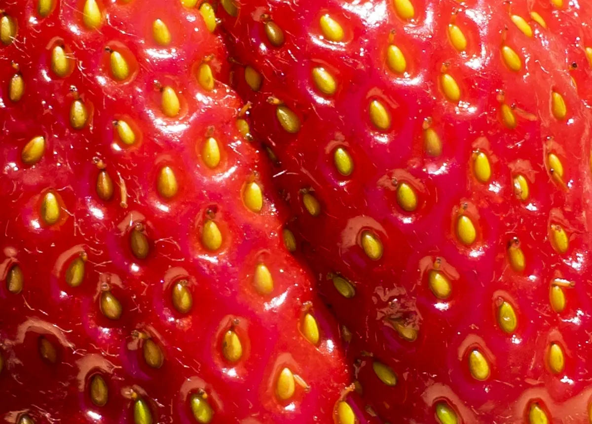 Extreme close-up of red strawberries with yellow seeds